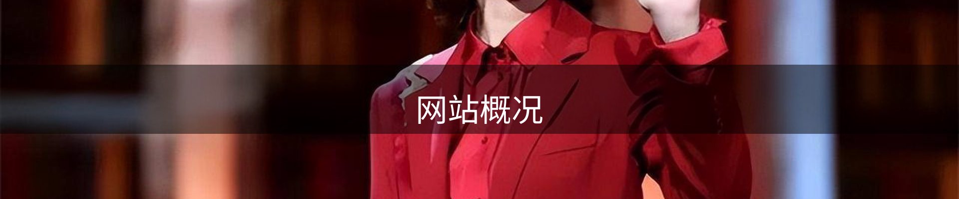 网站概况